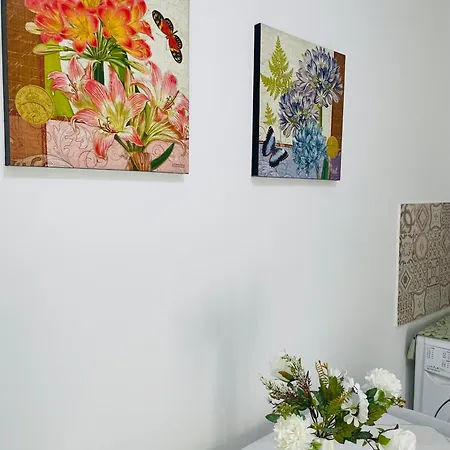 Duomo House Appartement *